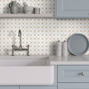 Bianco Dolomite Crema Dotty 12.88" x 12.88" Polished Marble Mesh-Mounted Mosaic Tile Pattern-MSI Collection