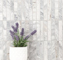 Capri Blue 12"x12" Stacked Pattern Honed Marble Mosaic Floor and Wall Tile - MSI Collection plant pot view