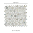 Cloudland Round Pattern 12"x12" Polished Marble Mosaic Floor and Wall Tile - MSI Collection