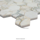 Coronado 10"x12" Honed Marble Hexagon Mosaic Floor and Wall Tile - MSI Collection