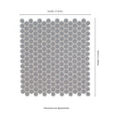 Gray Glossy 12"x12" Penny Round Mosaic Floor and Wall Tile - MSI Collection measurement view