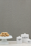 Gray Glossy 12"x12" Penny Round Mosaic Floor and Wall Tile - MSI Collection kitchen view
