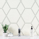 White and Gray Hive Pattern 11.73"x11.85" Matte Porcelain Floor and Wall Tile - MSI Collection plant in bathroom  view