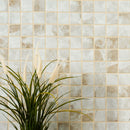 Terra Onyx 12"x12" Matte Porcelain Floor And Wall Tile - MSI Collection plant view