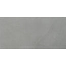 Sande grey 24x48 polished porcelain floor and wall tile NSANGRE2448P product shot single tile top view