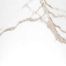 Savoy crema 12x24 polished porcelain floor and wall tile NSAVCRE1224P product shot wall view 5