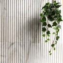 Arabescato Venato 4"x12" Slate Honed Marble Wall Tile - MSI Collection wall view 2