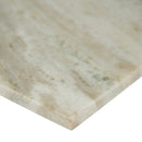 Fantasy brown 12 in x 24 in polished TFANTASYBROWN12240.38P marble floor and wall  tile product shot profile view