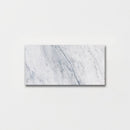 Cararra Honed 2 3/4"x5 1/2" Marble Tile product shot tile view