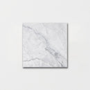 Cararra Honed 5 1/2"x5 1/2" Marble Tile product shot tile view