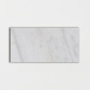 Lonte 2 3/4"x5 1/2" Polished Marble Tile product shot tile view