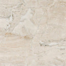 Royal Honed 12"x12" Marble Tile