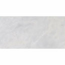 Glacier Honed 6"x12" Marble Tile Product shot tile view