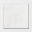 Glacier Honed 18"x18" Marble Tile Product shot tile view