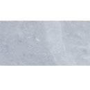 Foster Light 12"x24" Honed Marble Tile product shot wall view