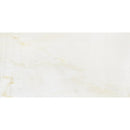 Calacatta Roma 12"x24" Polished Marble Tile product shot tile view