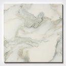 Calacatta Renaissance Honed Marble Tile