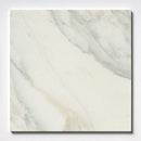 Calacatta Renaissance Honed Marble Tile