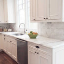 Keefer Mix C 2 3/4"x5 1/2" Polished Marble Tile kitchen view