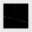 Black Polished 18"x18" Marble Tile room shot tile view