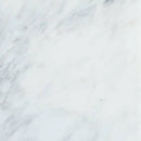 Calacatta Amore 12"x12" Polished Marble Tile product shot tile view