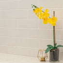 Urbano crema 3d mix glazed ceramic white textured subway tile 4x12 glossy NURBCREMIX4X12 room shot table view 2