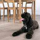 Mccarran Bourland 9.45"x86.6" Engineered Click Lock Hardwood Flooring - MSI Collection