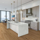 Modern kitchen with a island, cabinets, and appliances.