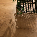 Wooden floor with a black metal basket and green leaves casting shadows