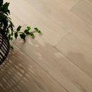 Wooden floor with a plant on the left side