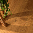 Wooden floor with a plant and wooden shelf in the corner