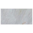 alpina white marble 24x48 polished top single view