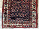 Antique All Over Paisley Kurdish Afshar Rug 4’5” x 8’11”