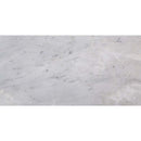 Arabescato carrara 12 x 24 polished marble floor and wall tile TARACAR12240.38P product shot one tile top view