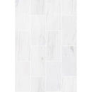 bianco dolomite marble tile 4x12 honed top view grouted