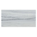 bianco lasa white exotic marble 18x36 polished top one view