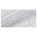 bianco massa white exotic marble 16x32 polished top single view