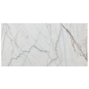 bianco rigata white exotic marble 24x48 polished top single view