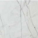 bianco rigata white exotic marble 24x24 polished top single view
