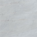 bianco venato white exotic marble 24x24 polished single top view