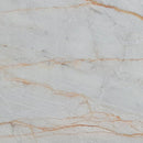 bianco venato white exotic marble 24x24 polished single top view5