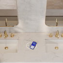 James Martin Chicago 72" Double Bathroom Vanity, Walnut Whisper