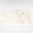 Calacatta Amber Honed 12x24x1/2