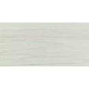 Eden dolomite 12x24 polished porcelain floor and wall tile NEDEDOL1224P single tile top view pattern 1