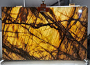 Fiore D'oro White Bookmatching Marble Slabs Polished - Full Truckload 1 slab backlit view