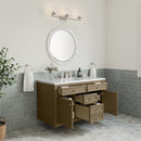 James Martin Chicago 48" Single Bathroom Vanity, Walnut Whisper