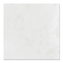 Calacatta T Honed Marble Tiles 18x18