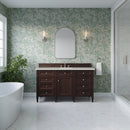 James Martin Brittany 60" Single Bathroom Vanity, Burnished Mahogany