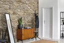 manufactured stone veneer slate look pastoral sand handmade S22SN 317858 installed entrance house mirror plant