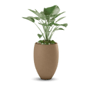 Brandy Planter